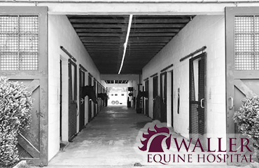 Waller Equine facility photo