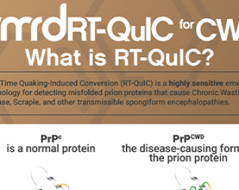 What is RT-QuIC? — INFOGRAPHIC