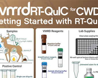 Getting Started with RT-QuIC - INFOGRAPHIC
