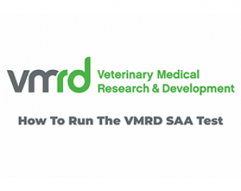 Serum Amyloid A:  How to Run the VMRD Test and About SAA Use in Practice