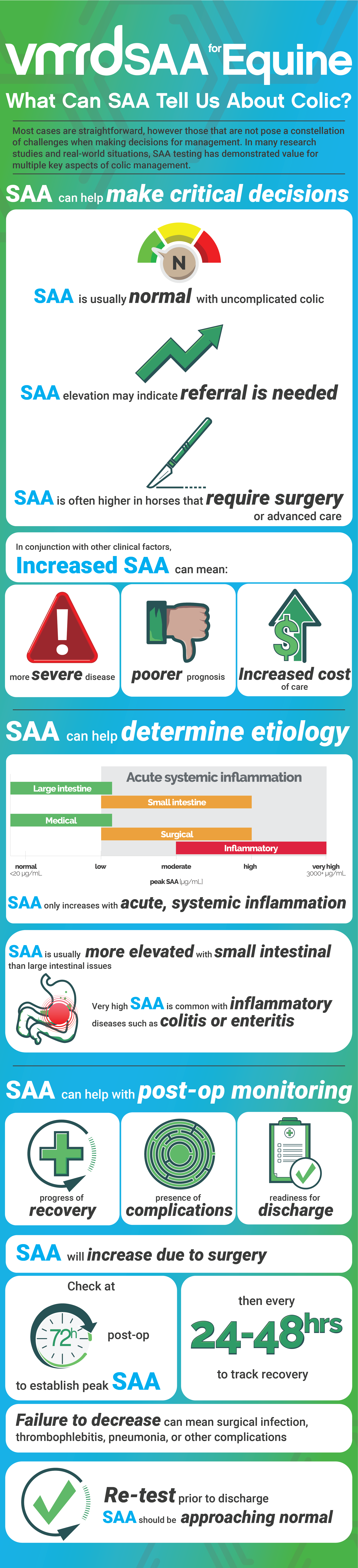 VMRD SAA for Equine - What Can SAA Tell Us About Colic? - INFOGRAPHIC