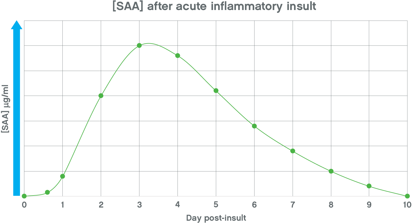 Graph - SAA after acute inflammatory insult